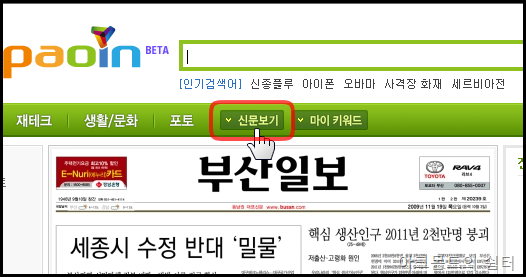 paoin_41